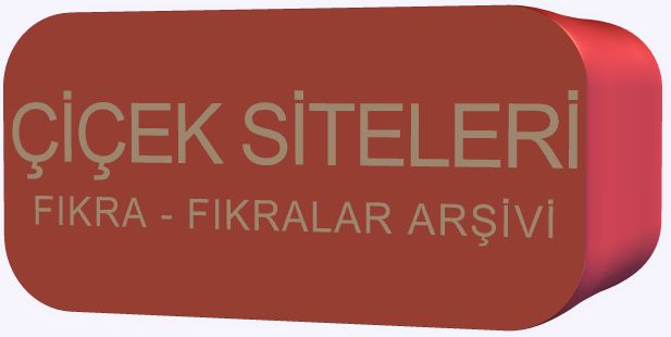 f�kra oku , f�kralar ar�ivi , f�kra makinas�