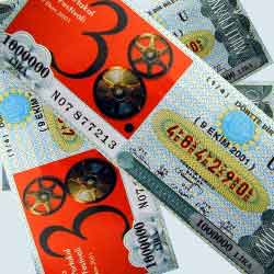 milli piyango resmi